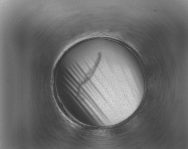 X0000059811508200511041640