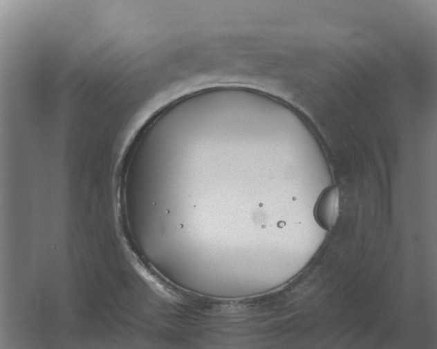 X0000059811511200511041640