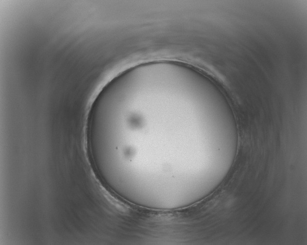 X0000059811512200511041640