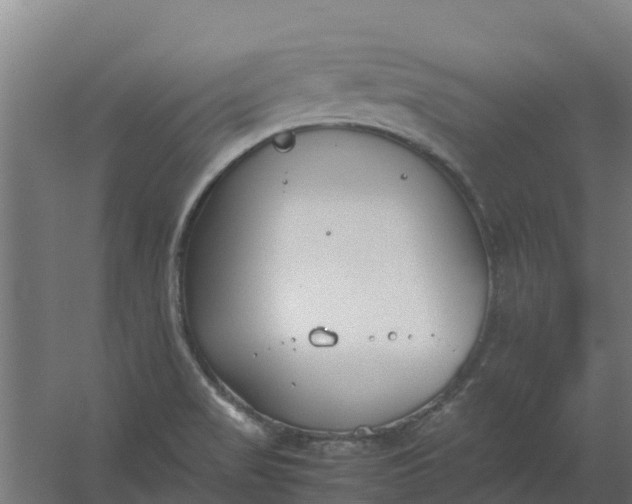 X0000059811517200511041640