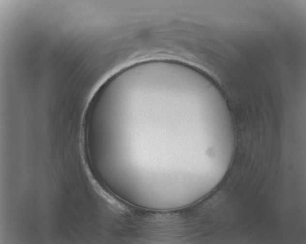 X0000059811518200511041640