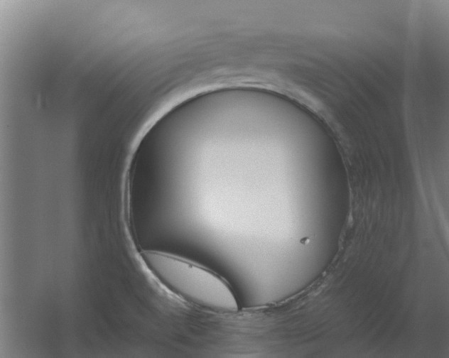 X0000059811520200511041640