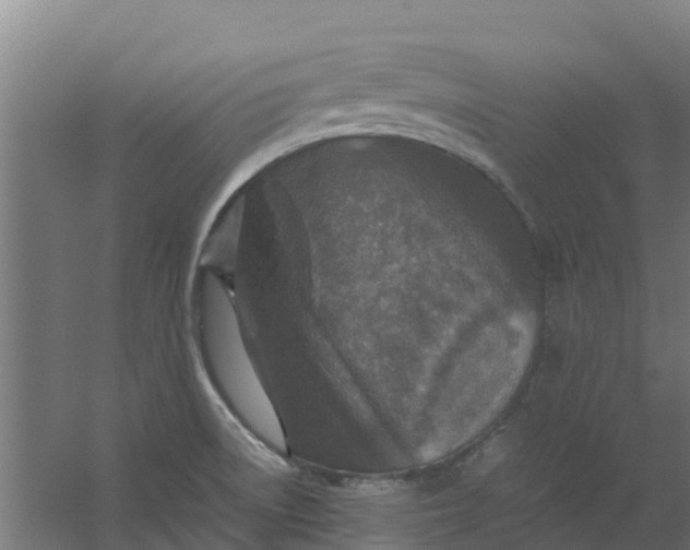 X0000059811522200511041640