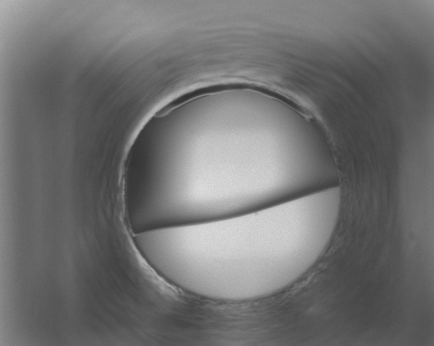 X0000059811524200511041640