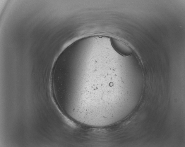 X0000059811525200511041640