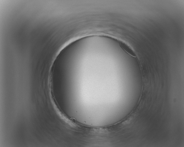 X0000059811526200511041640