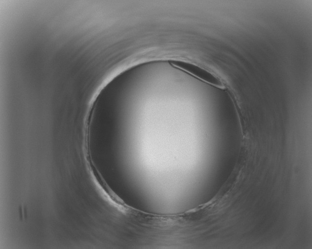 X0000059811528200511041640