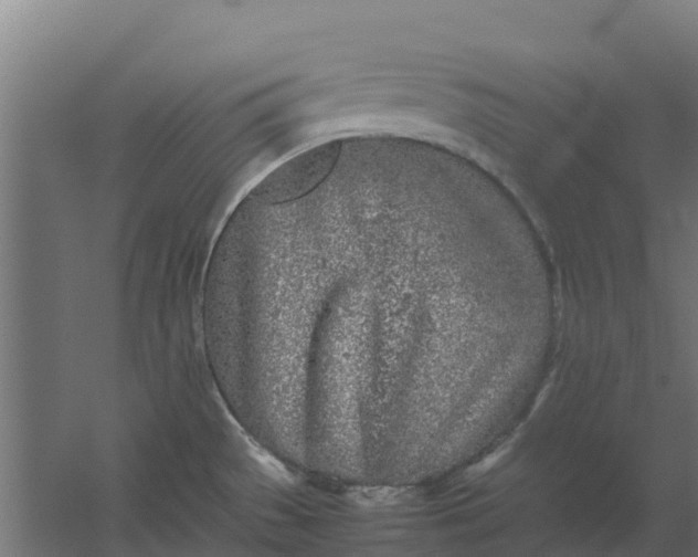 X0000059811529200511041640