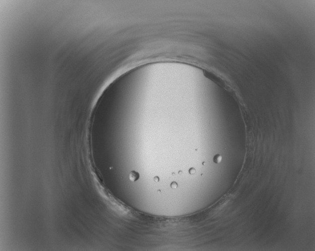 X0000059811530200511041640