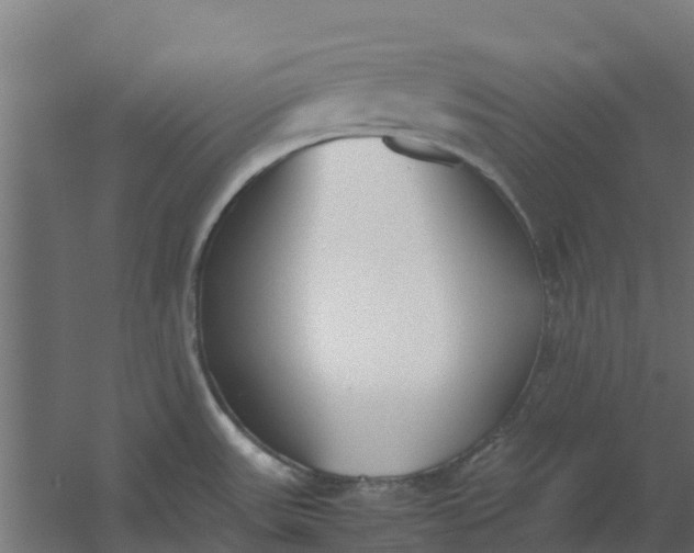 X0000059811531200511041640