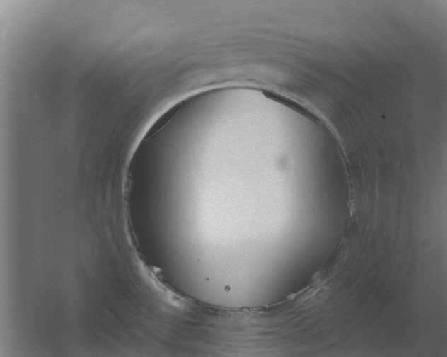 X0000059811532200511041640