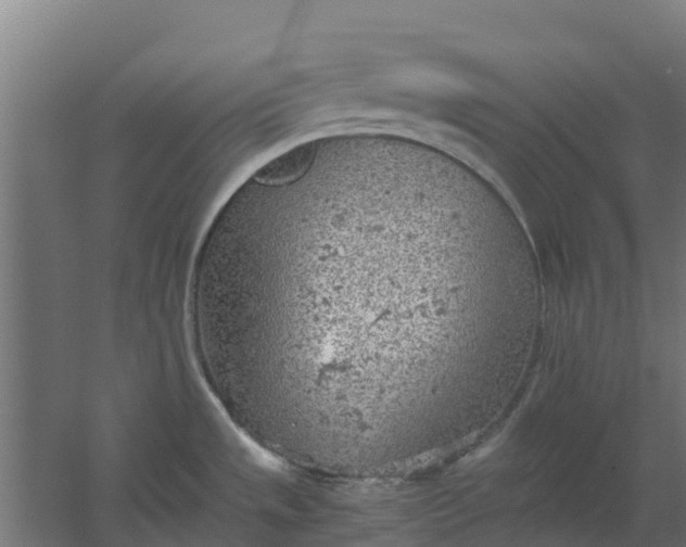 X0000059811533200511041640