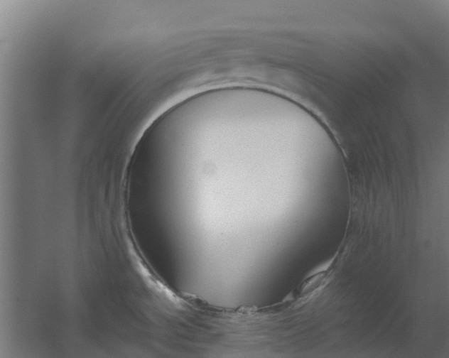 X0000059811534200511041640