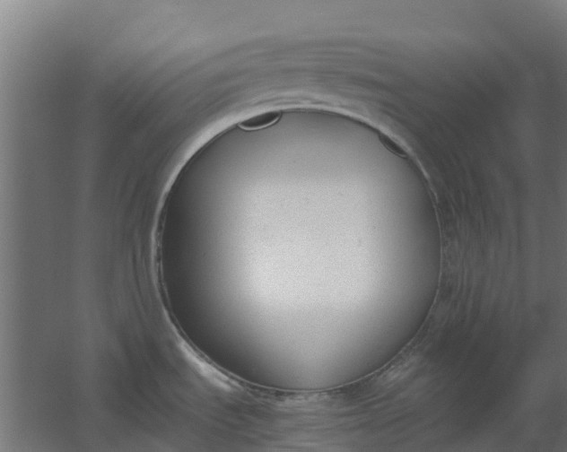 X0000059811535200511041640