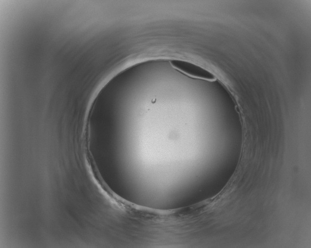 X0000059811536200511041640