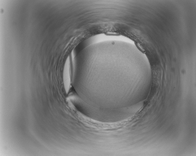 X0000059810035200511111638