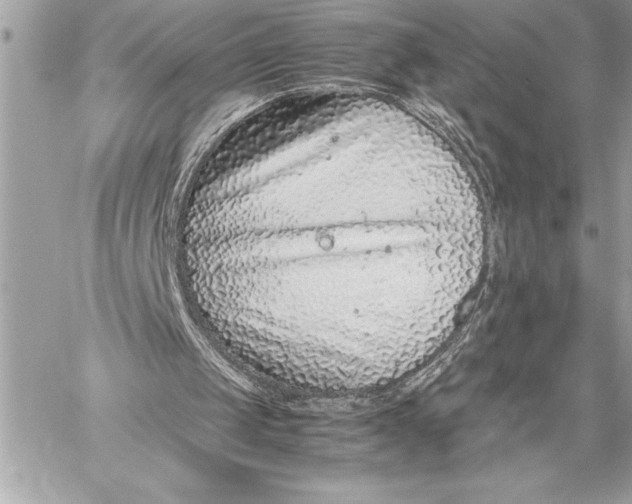 X0000059810049200511111637