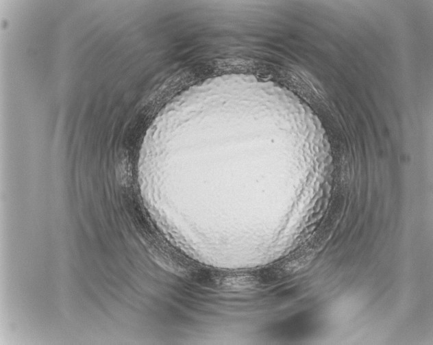 X0000059810173200511111636