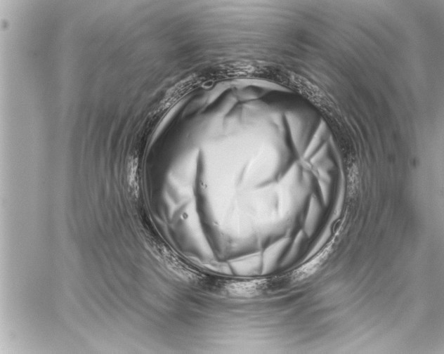 X0000059810178200511111636