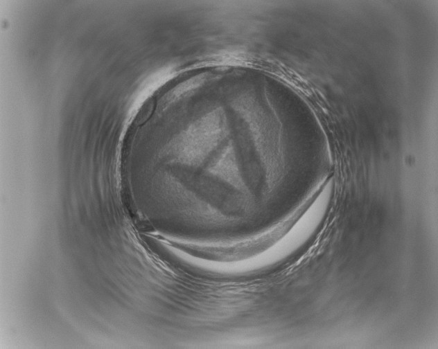 X0000059810200200511111636
