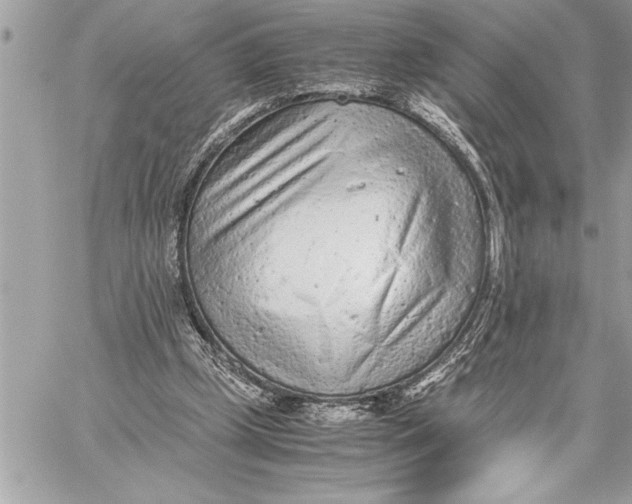 X0000059810249200511111634