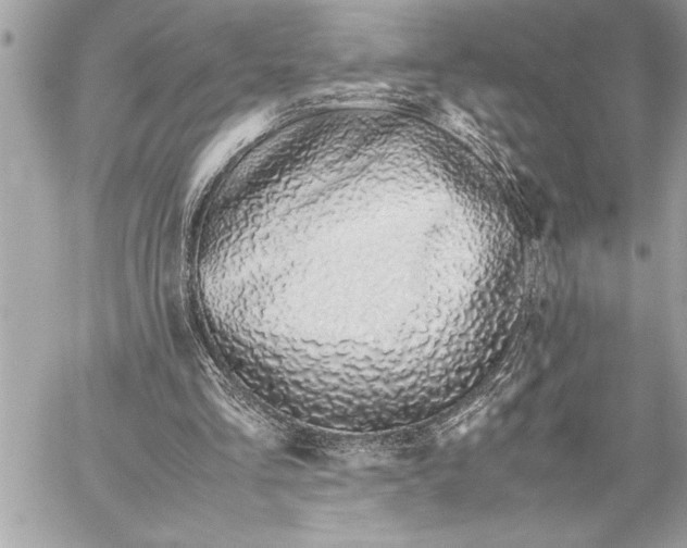 X0000059810293200511111634