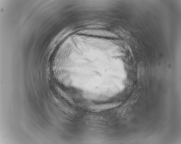 X0000059810339200511111632