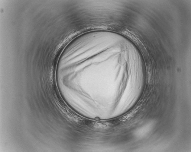 X0000059810346200511111633