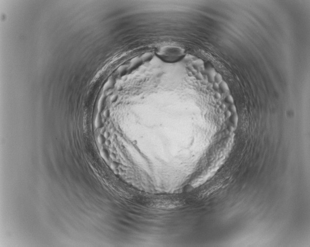 X0000059810347200511111633
