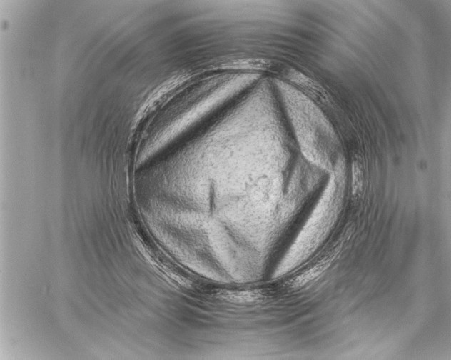 X0000059810349200511111633