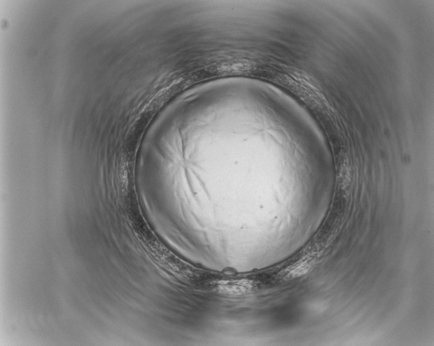X0000059810363200511111633