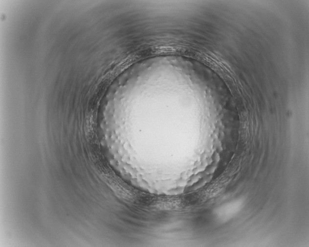X0000059810369200511111633