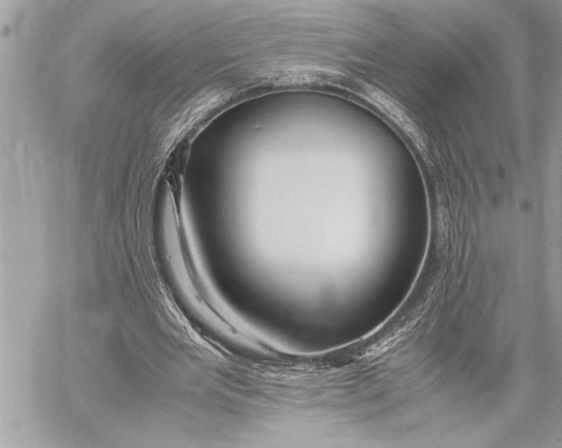 X0000059810485200511111631