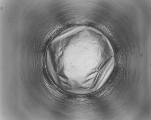X0000059810542200511111629