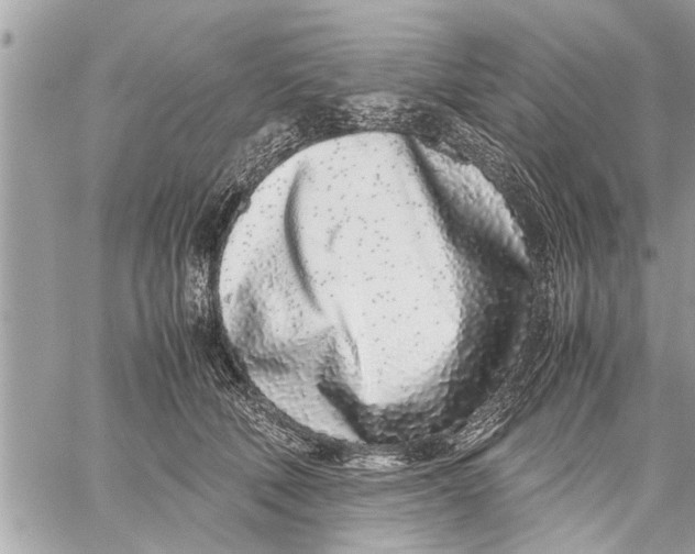 X0000059810610200511111629