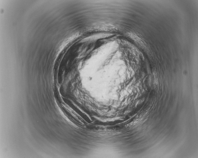 X0000059810630200511111628