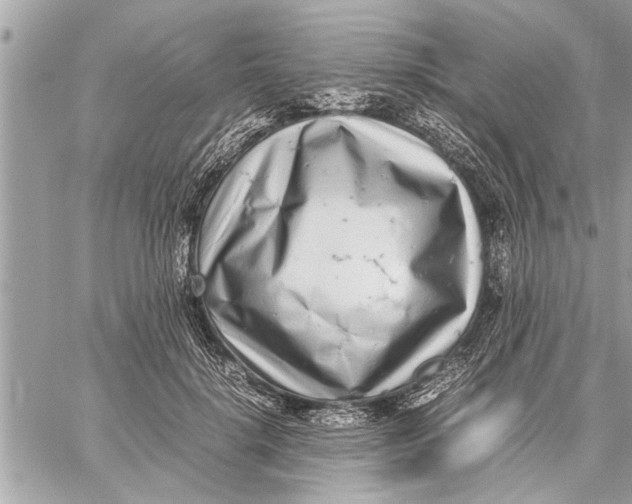 X0000059810652200511111628
