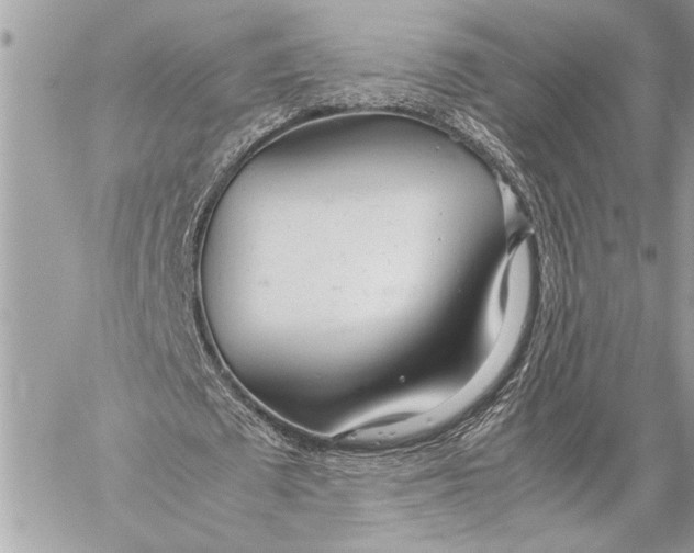 X0000059810673200511111628