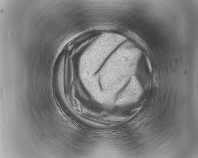 X0000059810724200511111626
