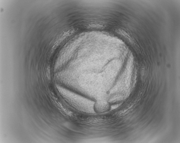 X0000059810729200511111626