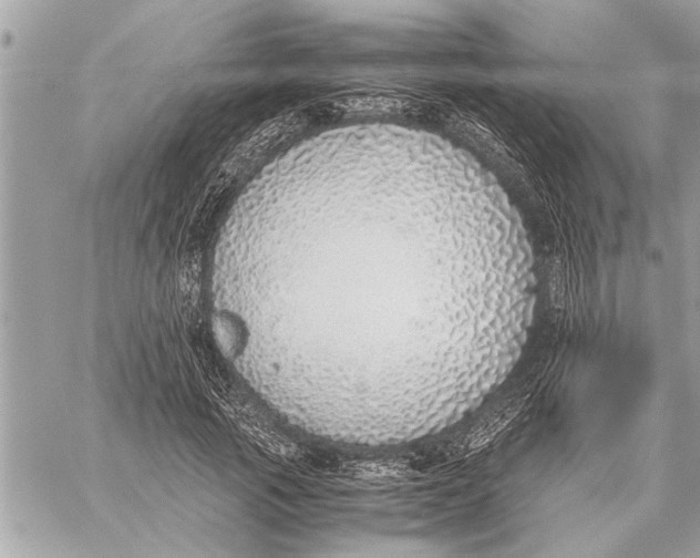 X0000059810737200511111626