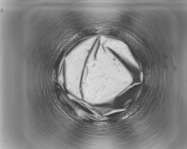 X0000059810748200511111626