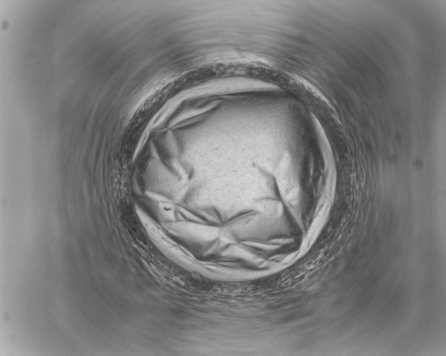 X0000059810775200511111626
