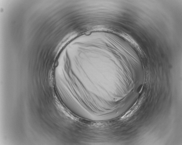 X0000059810806200511111625