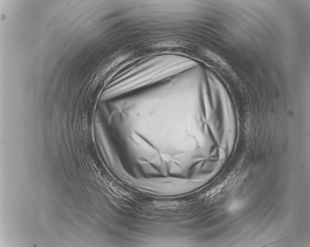 X0000059810825200511111624