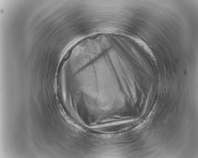 X0000059810904200511111624