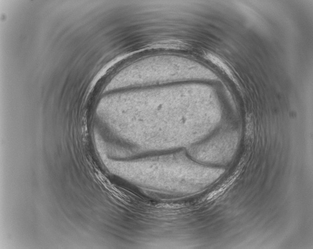X0000059810923200511111623