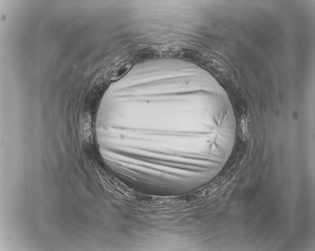 X0000059810963200511111623