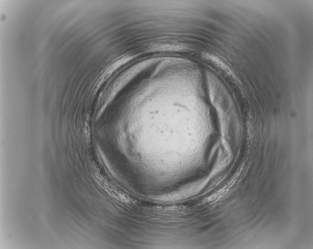 X0000059811025200511111621