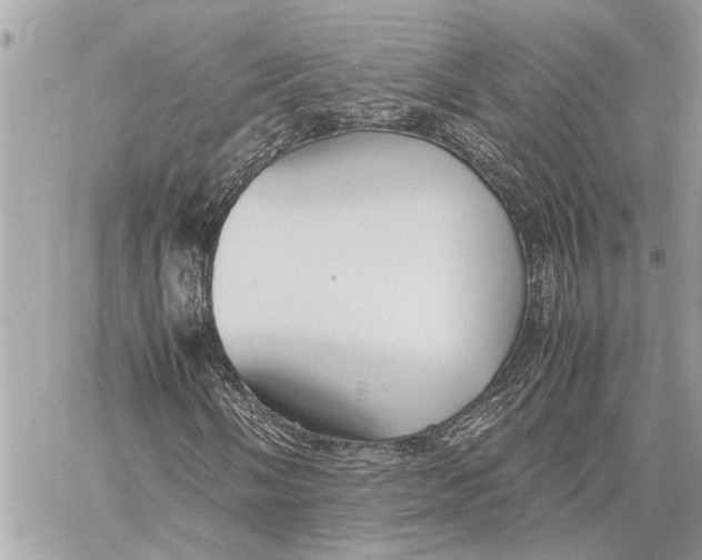 X0000059811058200511111621